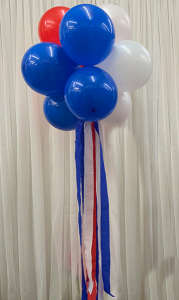 Super Topiary AFL or TEAM Hanging Ball