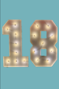 Pair of Marquee LED Lights #18- HIRE