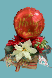 Poinsettia Floral and Balloon Box Arrangement