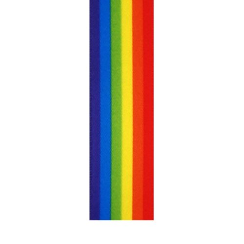 Satin Ribbon 22mm Rainbow 3M — illustrative reference; actual product differs as described