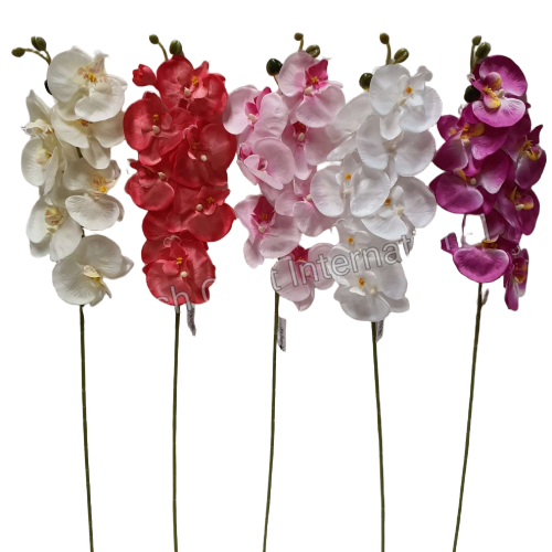 Flourish Craft Orchid