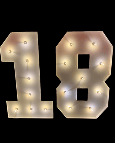 Marquee LED Numbers 18 - Hire