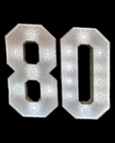 Marquee LED Numbers 80 - Hire
