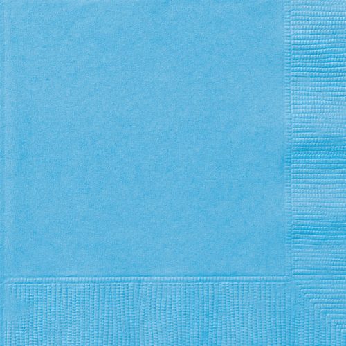 Powder Blue 20 Beverage Napkins 2-ply 25.4cm x 25.4cm